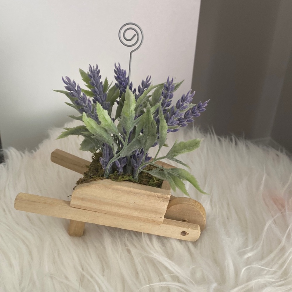 Plant decorated Wheelbarrow